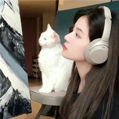 衰鬼抓狂